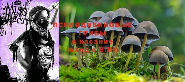 тгк Баксан