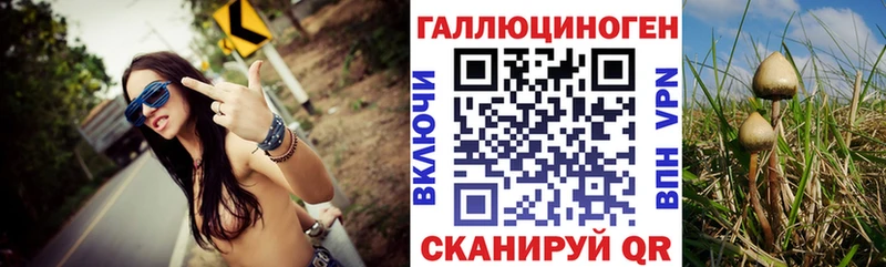 Галлюциногенные грибы мицелий  ОМГ ОМГ tor  Горбатов  сколько стоит 